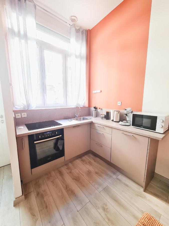 Le Zola - Appartement Spacieux - Grenoble Bagian luar foto